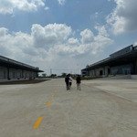 cho thuê trong kcn tân đô - hải sơn - dt 7.000m2 (kho 4.500m2) - giá 300 triệu/tháng