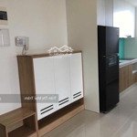 văn phòng cho thuê 51m2, 1 phòng ngủ, ntcb có tủ lạnh chỉ 12 triệu ở the sun avenue