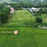 chuyển nhượng lại mảnh đất view cánh đồng cực thoáng đẹp 2000m/100m tc tại lương sơn - hoà bình