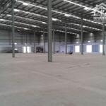 Xưởng Cho Thuê Trong Khu Nghiệp Đồng Nai Diện Tích 16.000M2