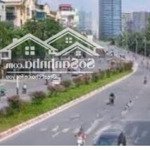 bán đất lô góc tt phùng, đan phượng đấu giá cây sung 89m2 chỉ 11.9 tỷ