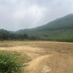 cần bán 1,7 ha đất chính chủ tại hòa lạc, thạch thất giá 6,5tr/m2