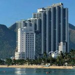 cần chuyển nhượng căn hộ scenia bay nha trang 65m2 căn 1pn+ ban công đông bắc tầng cao đẹp