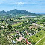 vườn xoài long mỹ -cách biển phước hải lan rừng resort 3km - 10x50m đã xây rào kiên cố