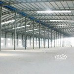 cho thuê kho xây mới 5000m2 - cái bè