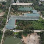 hơn 2000m2 đất trang trại cấn hữu, quốc oai. sẵn nhà khang trang, điện nước, ct phụ, vườn chuồng