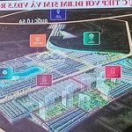 san hô tung chính sách đắc lợi - đón tết đắc lộc siêu phẩm liền kề vinhomes ocean park 2