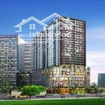 chủ nhà cho thuê căn 2pn tại shp hải phòng rẻ như cho