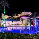 cơ hội duy nhất sở hữu căn flamingo golden hill