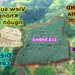 11,6ha cao su bằng như sân bay Đắk Nông, mặt tiền nhiều tại xã Đắk Ha huyện Đắk GLong