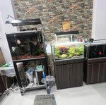 đại hạ giá - bán gấp trước tết hxh thích quảng đức phường 5 phú nhuận 60 m2 4 tầng 4,5*12 chỉ có 10