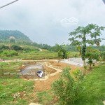 bán đất phú mãn 1800m2 trong sổ 400m2 đất ngoài sổ có xác nhận sẵn khuôn viên giá hơn 1 tỷ síu.