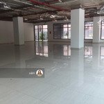 cho thuê sàn 67 trần phú (8b lê trực) nh, showroom, nhà hàng 85m2, 150m2..2000m2. giá 500n/m2