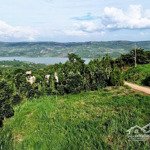 chính chủ cần tiền bán nhanh 258,7m2 đất view sông tân nghĩa - di linh