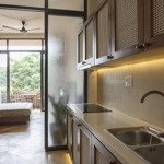 cho thuê căn hộ 1 phòng ngủ thiết kế hiện đại, có ban công ngay cầu công lý, earth garden apartment