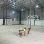 cho thuê kho giá vip 300m2 trong cụm kho đường âu cơ, phường 5, quận 11