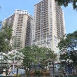 cho thuê cc 3pn, 2wc, 141m2 tại sky city towers - 88 láng hạ, 19 triệu vnd, đống đa, hn