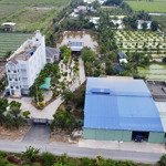 nhà vườn 6.500m2, có nhà yến, nhà biệt thự, nhà kho cho thuê, thu nhập 1 tháng gần 100 triệu