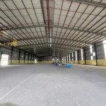 cho thuê xưởng hơn 9000m2 gần cảng cái mép - bà rịa vũng tàu, giá thuê ưu đãi tháng 12 là 60k/m2/th