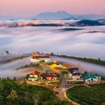 đất thổ cư tp. đà lạt. đường nhựa ô tô, view rừng thông đồi núi.