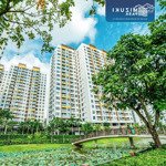 giỏ hàng mizuki park 8 căn 2pn đến 3pn chủ đầu tư duy nhất tháng 12/2024 chiết khấu tới 5%