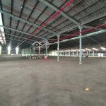 cho thuê nhà xưởng diện tích 3000m2- 6000m2 giá cực hời trong kcn tân bình