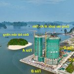 cần bán nhanh căn hot studio full đồ crystal vđ 33m2, 40m2 view biển dòng tiền 250-400tr/năm ck 21%