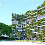 cắt lỗ căn hộ flamingo cat ba beach resort, 1,68 tỷ, 40 m2, 1pn, 1wc, có lợi nhuận luôn