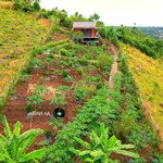 nhà vườn 1800m2 view đồi tại la ngà. đất rộng, không khí trong lành lựa chọn hoàn hảo nghỉ dưỡng