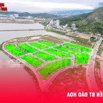 cần bán 5 ô đất bt đảo hoa khu đồn điền hà khẩu, hạ long giáp vinhomes hạ long xanh 0986284034