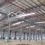 cho thuê xưởng 12.000m² tại kcn đức hòa, long an pccc tự động, hỗ trợ đầu tư nước ngoài