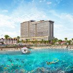 bán condotel 1pn, 3,1 tỷ, 44m2 tại vega polaris, vũng tàu liên hệ : 0337686837