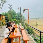 cần bán homestay đang hoạt động tại nà bờ kim bôi hoà bình.giá 15 tỷ có thương lượng