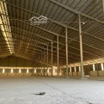 cho thuê kho 12.300m2 kcn sông hậu