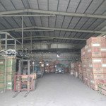 cho thuê kho xưởng bình chánh. diện tích 1.000m2, xưởng 700m2. đường xe container 40f.