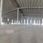 cho thuê xưởng bàu bàng, bình dương, 4300m2. pccc tự động, trạm điện 500kva. pháp lý hoàn công