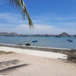 cho thuê đất view biển đầm nại, ninh hải, ninh thuận kinh doanh tốt, giá 2 tr/tháng