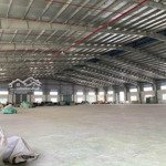 cho thuê kho xưởng mới đẹp ccn, long an, khuôn viên: 15.000m2, xưởng: 7.000m2, pccc tự động