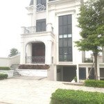 bán biệt thự đơn lập lô góc kđt hinode royal park, sát đại lộ bình minh, 21 tòa chung cư. kd tốt