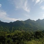 tổng dt 1,9ha trong đó có 1300m thổ cư+ 3100m đất cln, còn lại là đất rsx tại kim bôi -hoà bình.