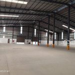 cho thuê kho tổng khuôn viên 6100m2 giá tốt ngay mặt tiền tỉnh lộ 8, xã tân thạnh đông, củ chi