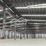 bán kho xưởng 31.839m2 tại chánh phú hòa, bến cát, bình dương