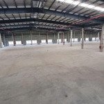 cho thuê kho xưởng mới đẹp - kcn tân an, long an, xưởng: 4.000m2 7.000m2, tổng diện tích: 10.000m2