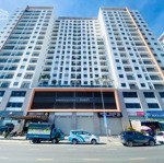 cho thuê shophouse ct2 vcn phước hải, 186m2, ngang 6.5m, kinh doanh ngay