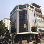 cho thuê mp phó đức chính - q. ba đình, mt: 40m, dt: 1000m2, 1 tầng. giá: 450tr/tháng-lh 0912768428