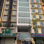 cho thuê nhà phố nguyên hồng - đống đa, 75m2 x 8 tầng, 1 tum, mt:5m, thông sàn, thang máy, pccc,...