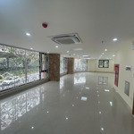 cho thuê nhà mặt phố giảng võ 320m2 x 2 tầng riêng biệt thông sàn giá 137tr/tháng