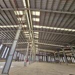 cho thuê kho xưởng kcn cần đước , long an , diện tích linh hoạt 2.000m2 - 15.000m2, pccc tự động