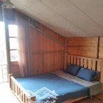 cho thuê homestay 10pn đường đào duy từ p4 giá 15tr