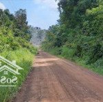 20,5ha đất tại tân lập, tân biên, tây ninh. pháp lý đầy đủ bao sang tên. giá 328 tỷ